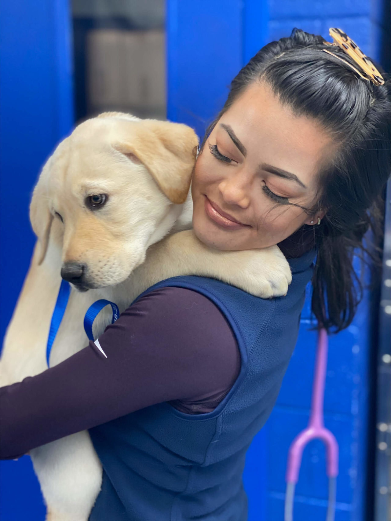 Chester, Virginia 23831 Veterinary Hospital Chester Animal Clinic