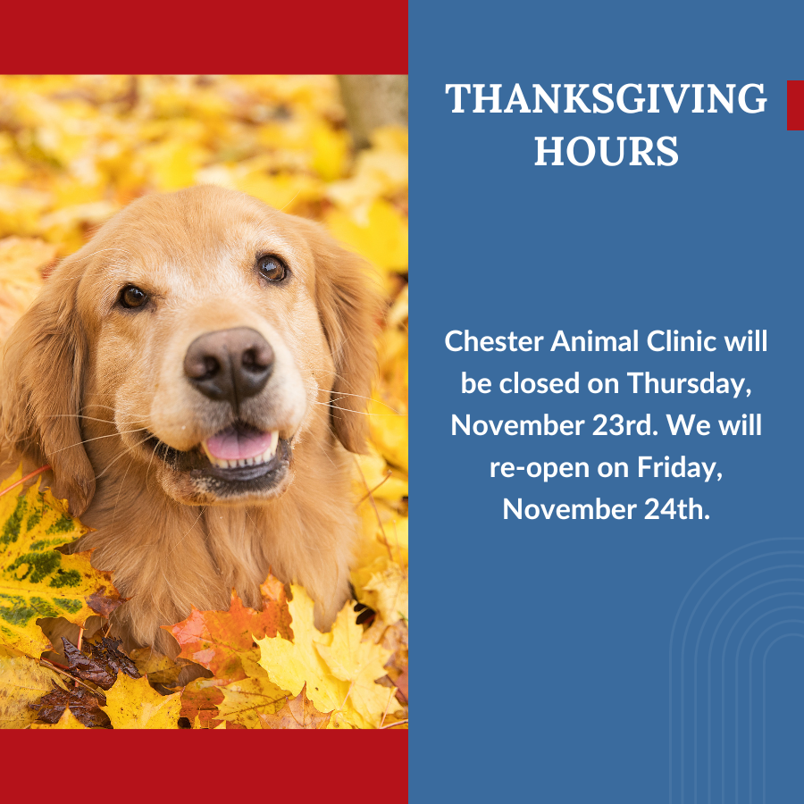 holiday hours